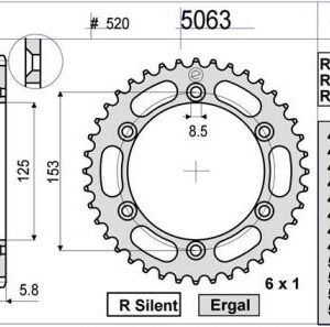 PIÑON OGNIBENE 50 D mod 5063 term R50
