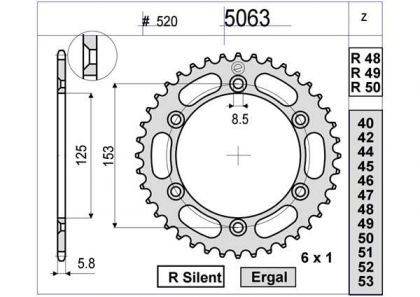 PIÑON OGNIBENE 50 D mod 5063 term R50