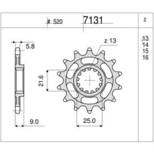 PIÑON OGNIBENE 14 D mod 7131