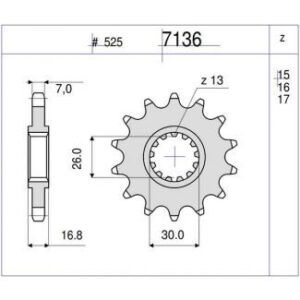 PIÑON OGNIBENE 15 D mod 7136