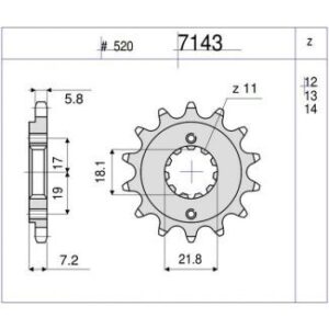 PIÑON OGNIBENE 14 D mod 7143