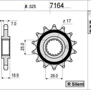 PIÑON OGNIBENE 15 D mod 7164