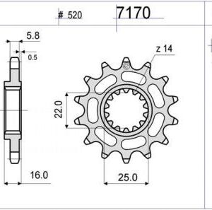 PIÑON OGNIBENE 15 D mod 7170