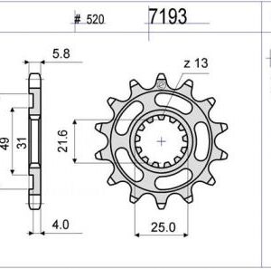 PIÑON OGNIBENE 13 D mod 7193