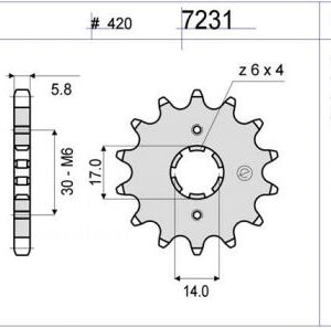 PIÑON OGNIBENE 14 D mod 7231