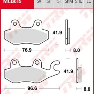Pastillas De Freno Trw Srq Circuito Y Entrenos Triumph Tiger 900Ant.Dx