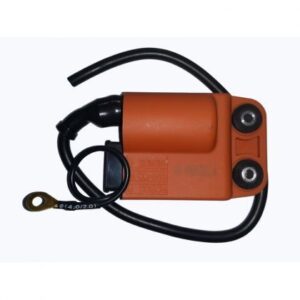 Bobina Cdi Zip 50 92-99 Sfera Nrg-Ntt-Free-Quartz-Liberty 2T